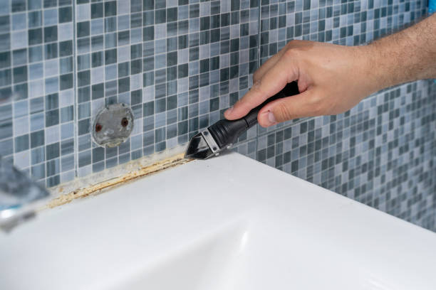 Best Home Mold Removal  in Palmhurst, TX
